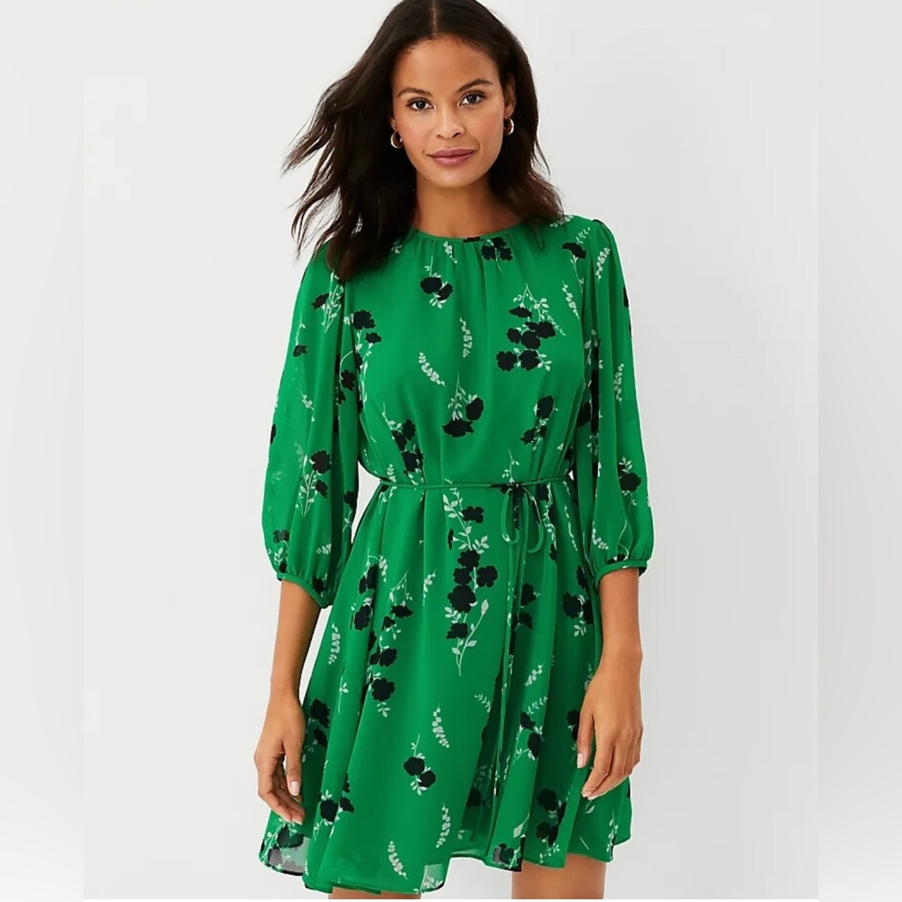 Ann Taylor Belted Floral Dress